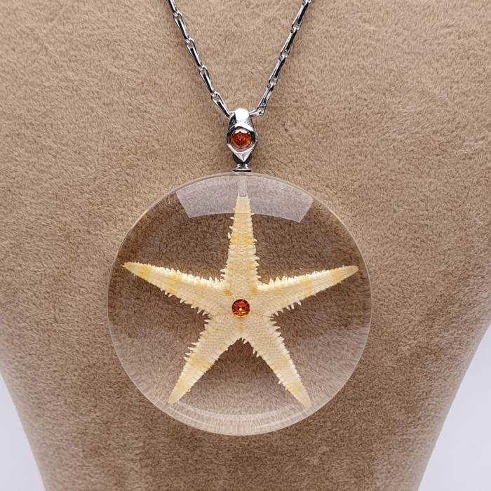 Starfish Necklace - 4